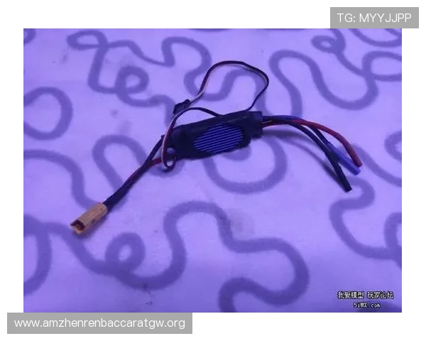 深入了解K8真人模拟器的玩法特色与不同模式的操作技巧分享