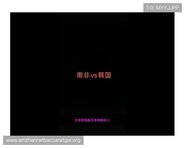 世界杯南非对韩国比赛现场观赛全攻略，助你轻松掌握购票与交通信息