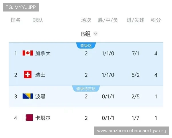 世界杯波黑对阵卡塔尔比赛结果预测及关键球员表现分析
